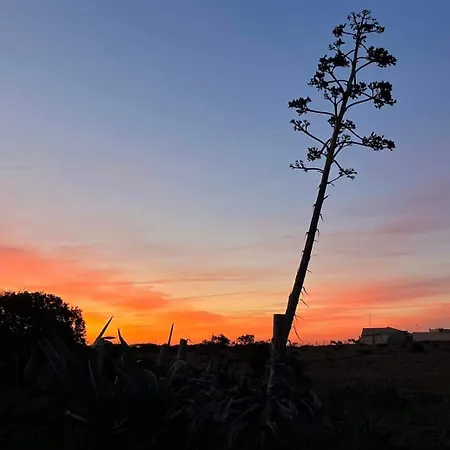 Casa Pompilio 빌라 *