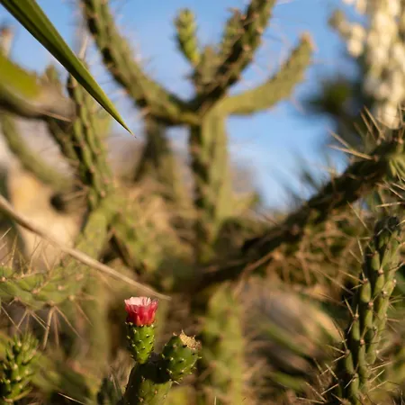 빌라 Casa Pompilio 사그레스