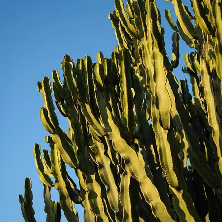 Casa Pompilio 빌라 *