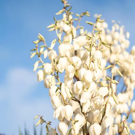 Casa Pompilio Villa Sagres